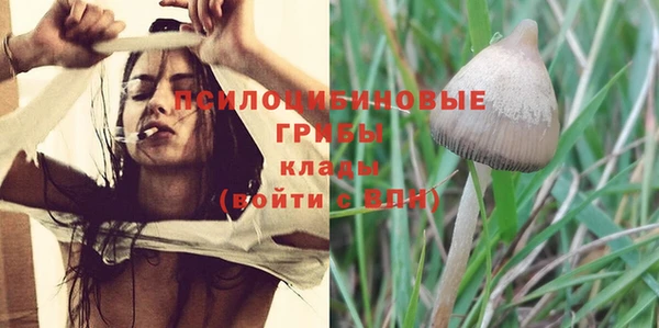 эйфоретик Белокуриха