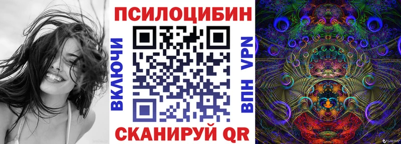сколько стоит  Шимановск  Псилоцибиновые грибы Psilocybe 